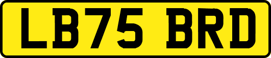 LB75BRD