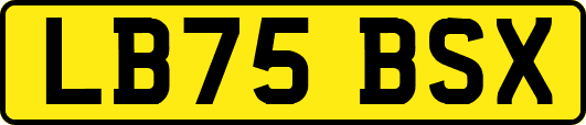 LB75BSX