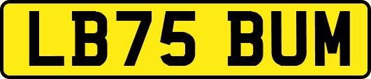 LB75BUM