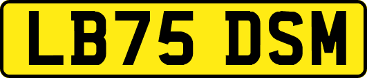 LB75DSM