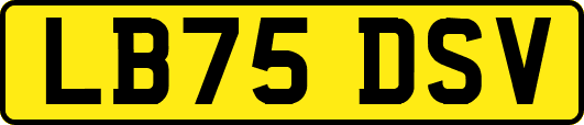 LB75DSV