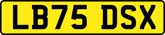 LB75DSX