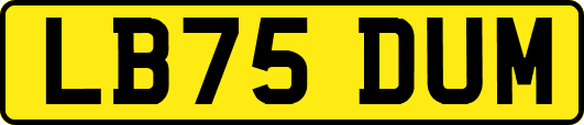 LB75DUM