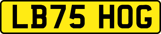 LB75HOG