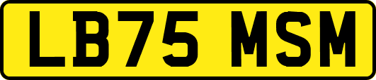 LB75MSM