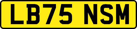 LB75NSM