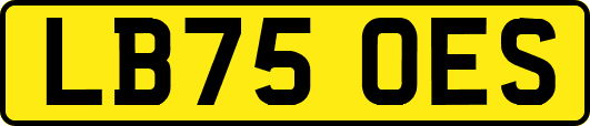 LB75OES