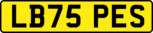 LB75PES
