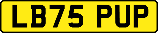LB75PUP