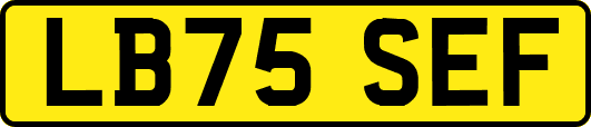 LB75SEF
