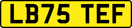LB75TEF