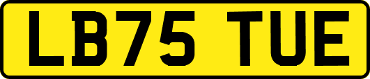 LB75TUE