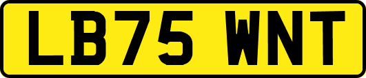 LB75WNT