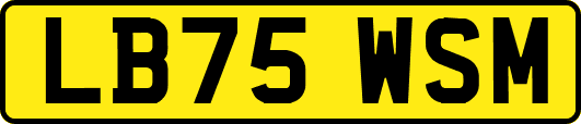 LB75WSM