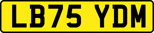LB75YDM