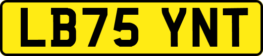 LB75YNT
