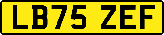 LB75ZEF