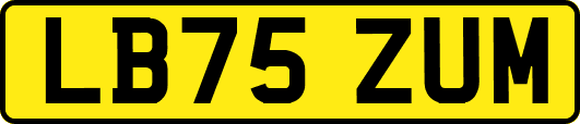 LB75ZUM