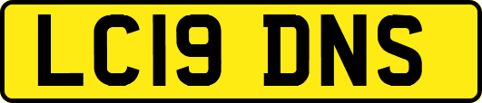 LC19DNS