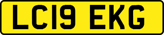 LC19EKG