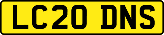 LC20DNS