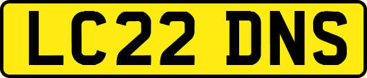 LC22DNS