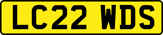 LC22WDS