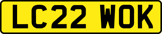 LC22WOK