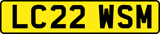 LC22WSM