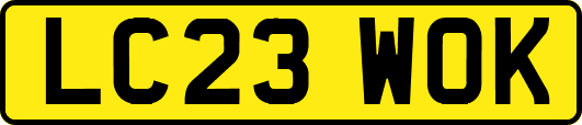 LC23WOK