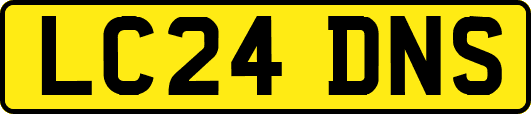 LC24DNS