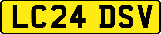 LC24DSV