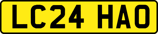 LC24HAO