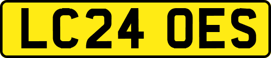 LC24OES
