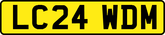 LC24WDM