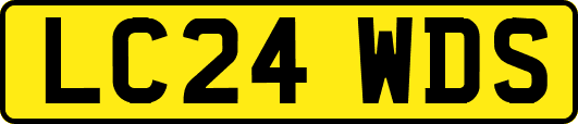 LC24WDS
