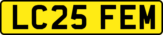 LC25FEM
