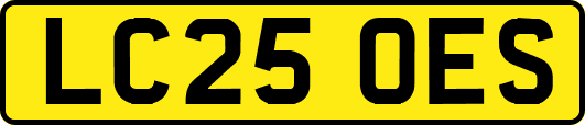 LC25OES