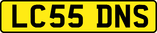 LC55DNS