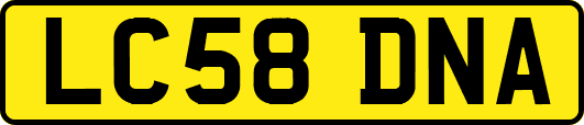 LC58DNA
