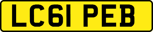 LC61PEB