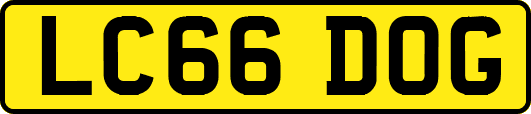 LC66DOG