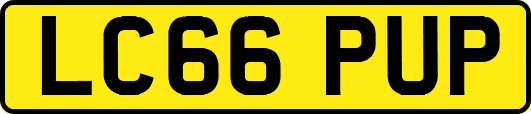 LC66PUP