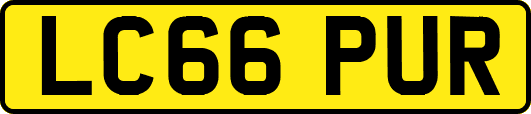 LC66PUR