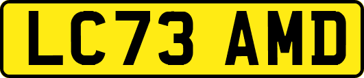 LC73AMD