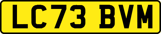 LC73BVM