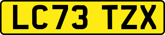 LC73TZX