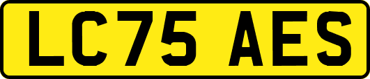 LC75AES