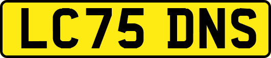 LC75DNS