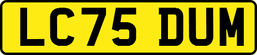 LC75DUM